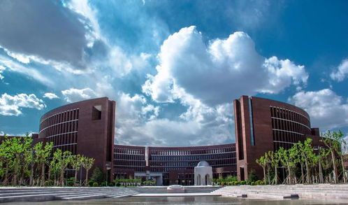 中南大学与天津大学对比