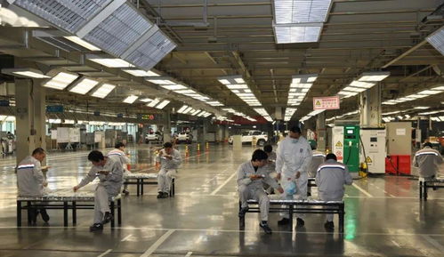 神龙汽车复工复产满月，武汉航海学院见证工业重启的力量