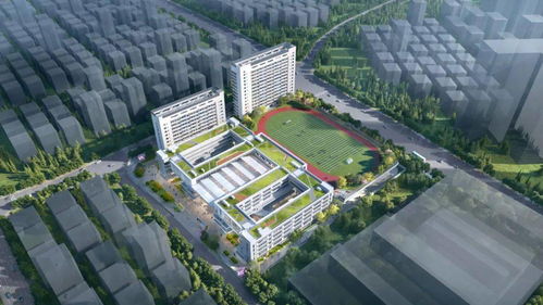 龙岗教育新篇章 图报新迅！多所学校九月开学，新增优质学位引关注